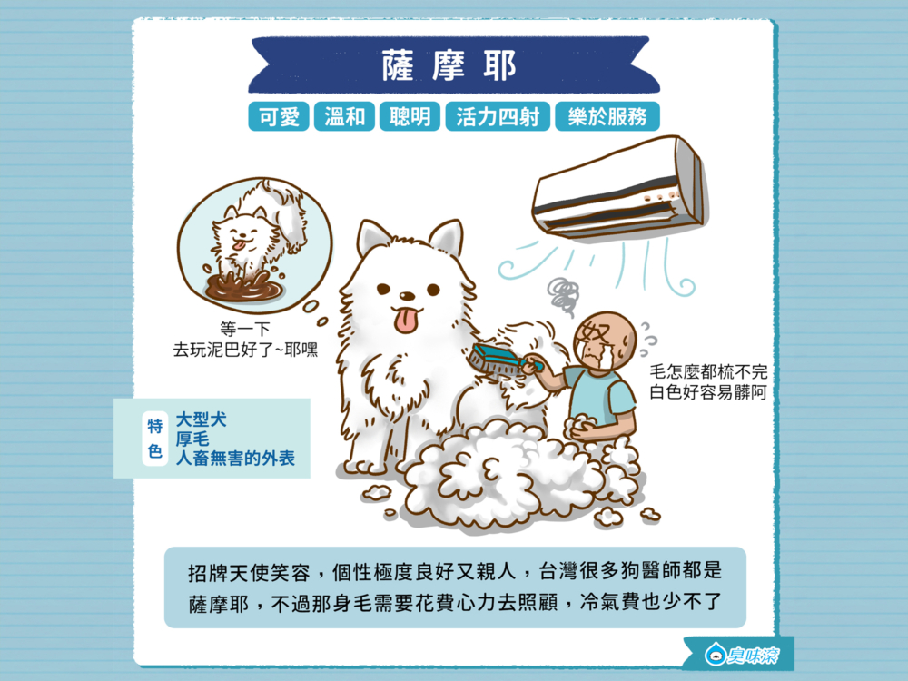 常見狗狗品種 大型犬篇 寵味誌